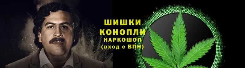 Канабис VHQ  где купить   Камешково 